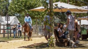 Photo by Tom Hautmann