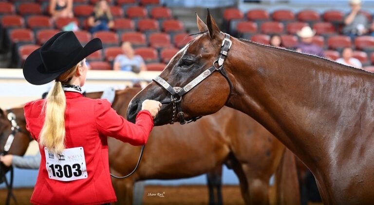 Photo by AQHA Press Release by Shane Rux