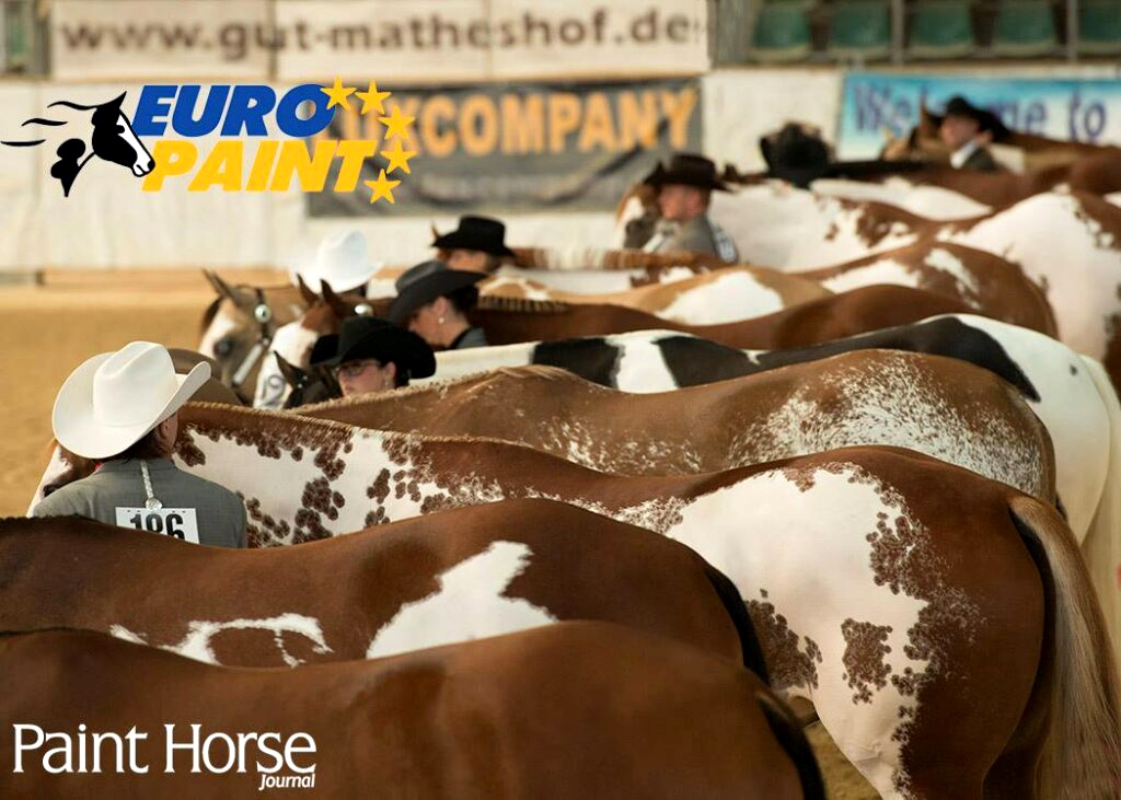 Photo by APHA/Paint Horse Journal