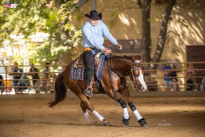 Photo by Tom Hautmann