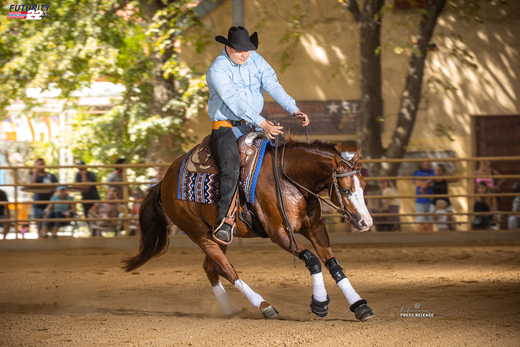 Photo by Tom Hautmann