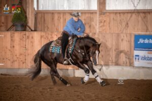 Photo by Tom Hautmann