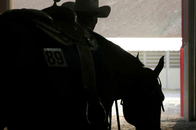 By AQHA Press Release