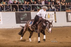 Photo by Tom Hautmann