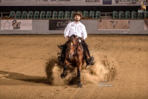 Photos by Tom Hautmann