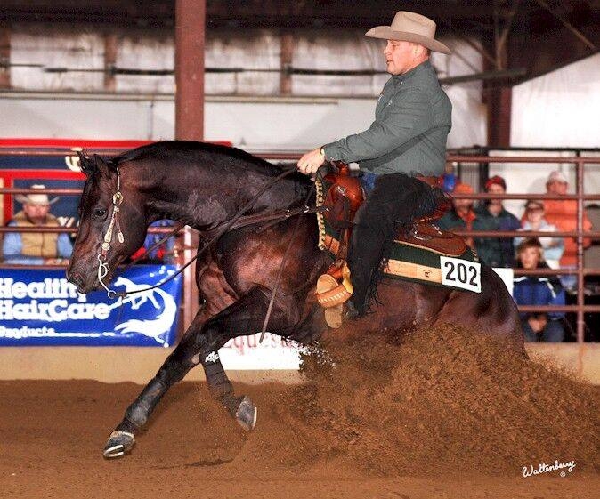 Photo by Waltenberry