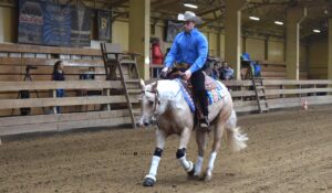 Photos by International Horse Press