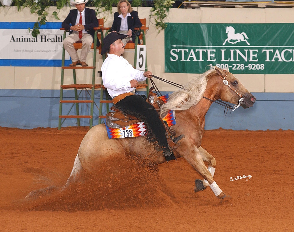 Photo by NRHA Press Release