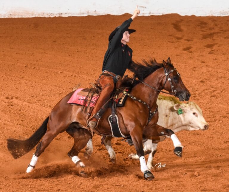 Photo by NRCHA Press Release