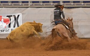 Photo by Press Release