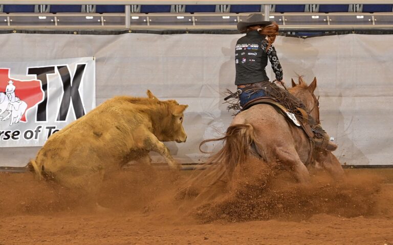 Photo by Press Release