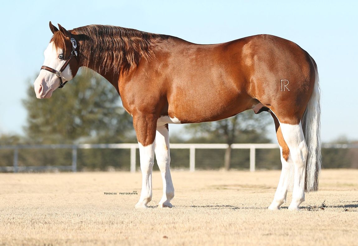 Photo by Veronika Photography