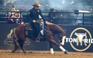 Photo by International Horse Press/Martina Tonello