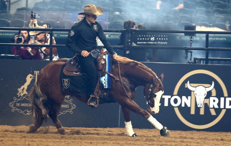 Photo by International Horse Press/Martina Tonello