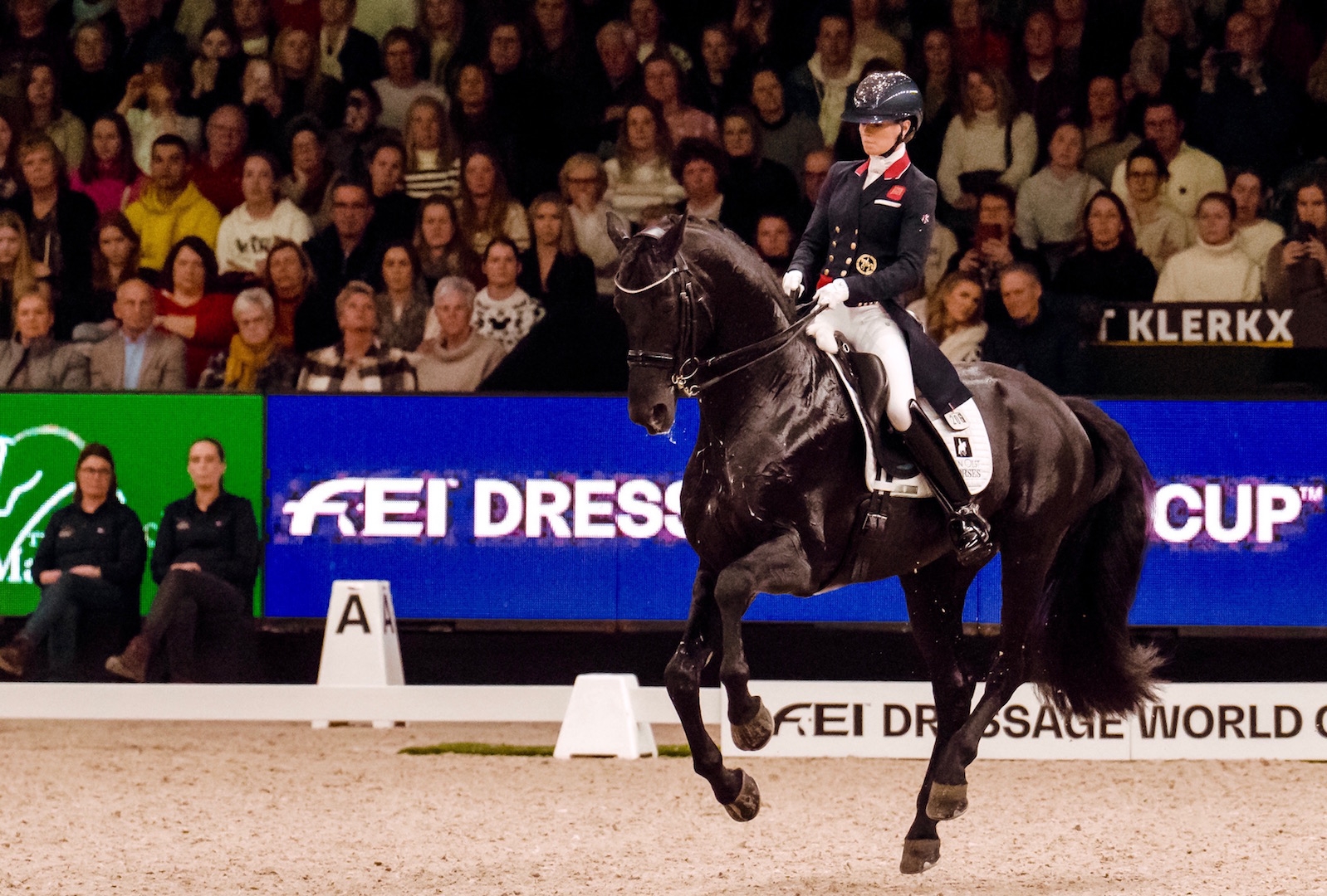 ©International Horse Press/ctanierephotographie