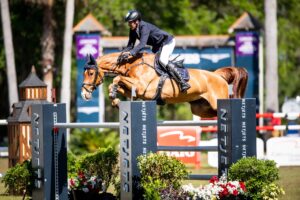 ©FEI/ Shannon Brinkman