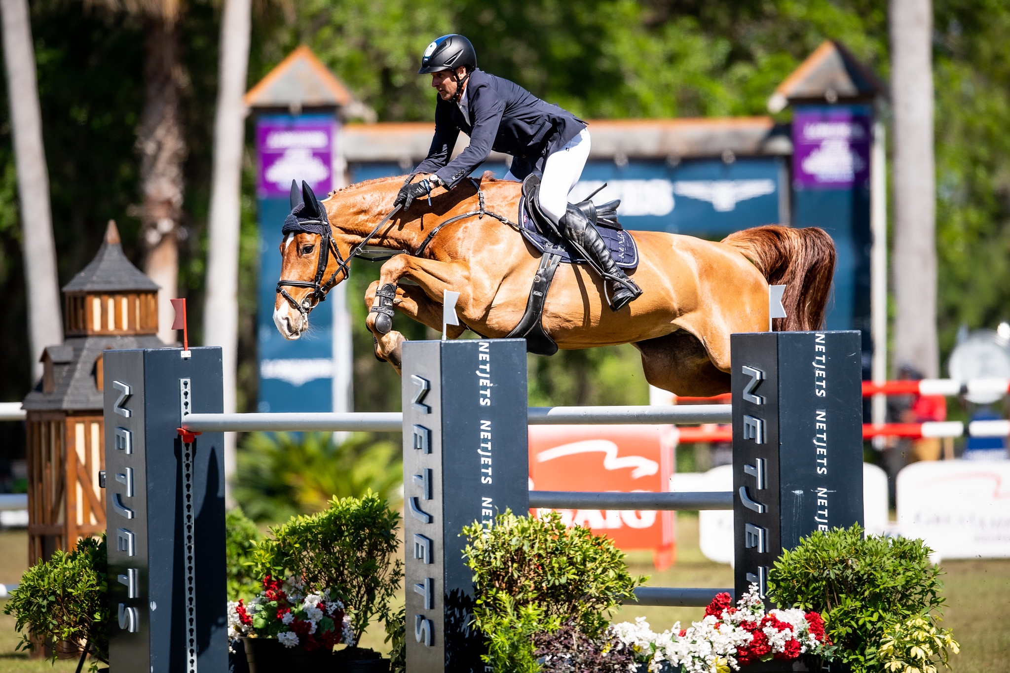 ©FEI/ Shannon Brinkman