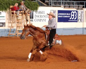 Photo by NRHA Press Release/Waltenberry