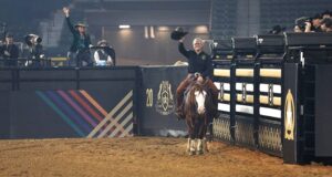 Photo by NRHA Press Release