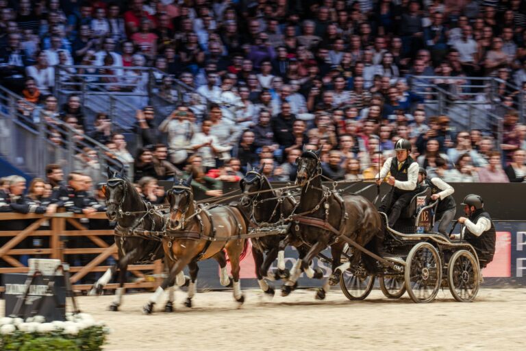 Photo by © International Horse Press / ctanierephotographie.com