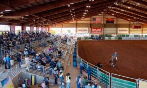 Photo by Art of the Cowgirl