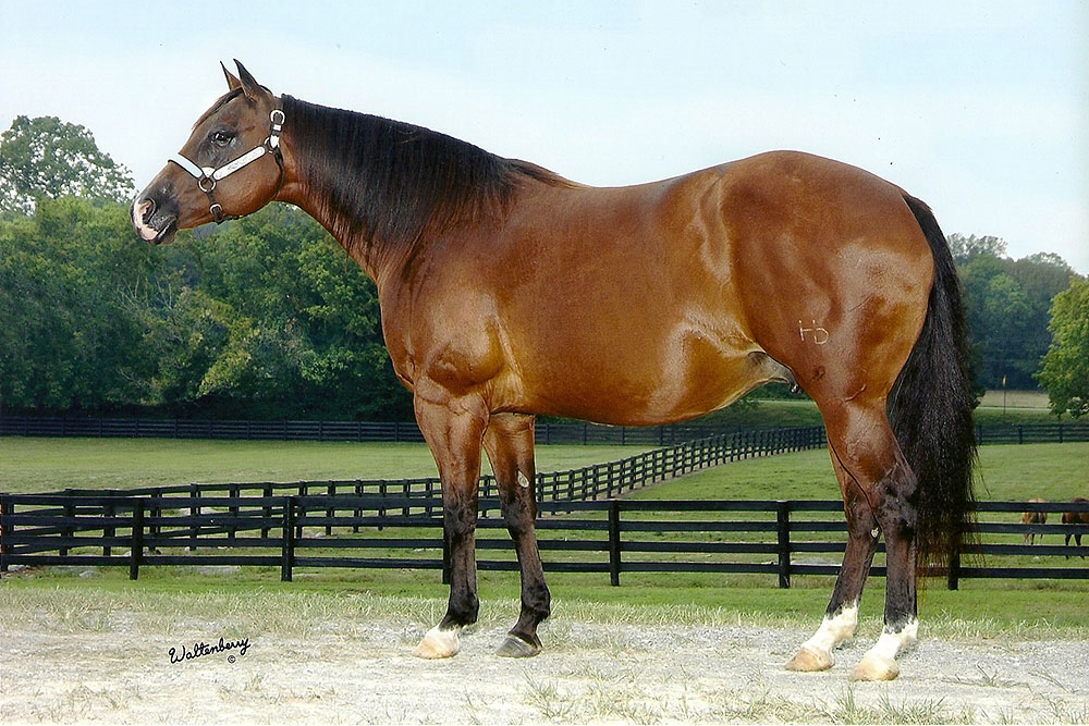 Photo by NRHA Press Release/Waltenberry