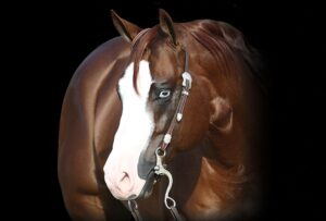 Photo by NRHA Press Release | ©John Brasseaux