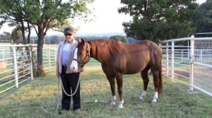 International Horse Press / Simona Diale