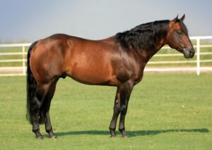 Photo by Hang Ten Surprize FB