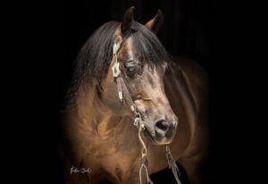 Photo by Tristan Dark